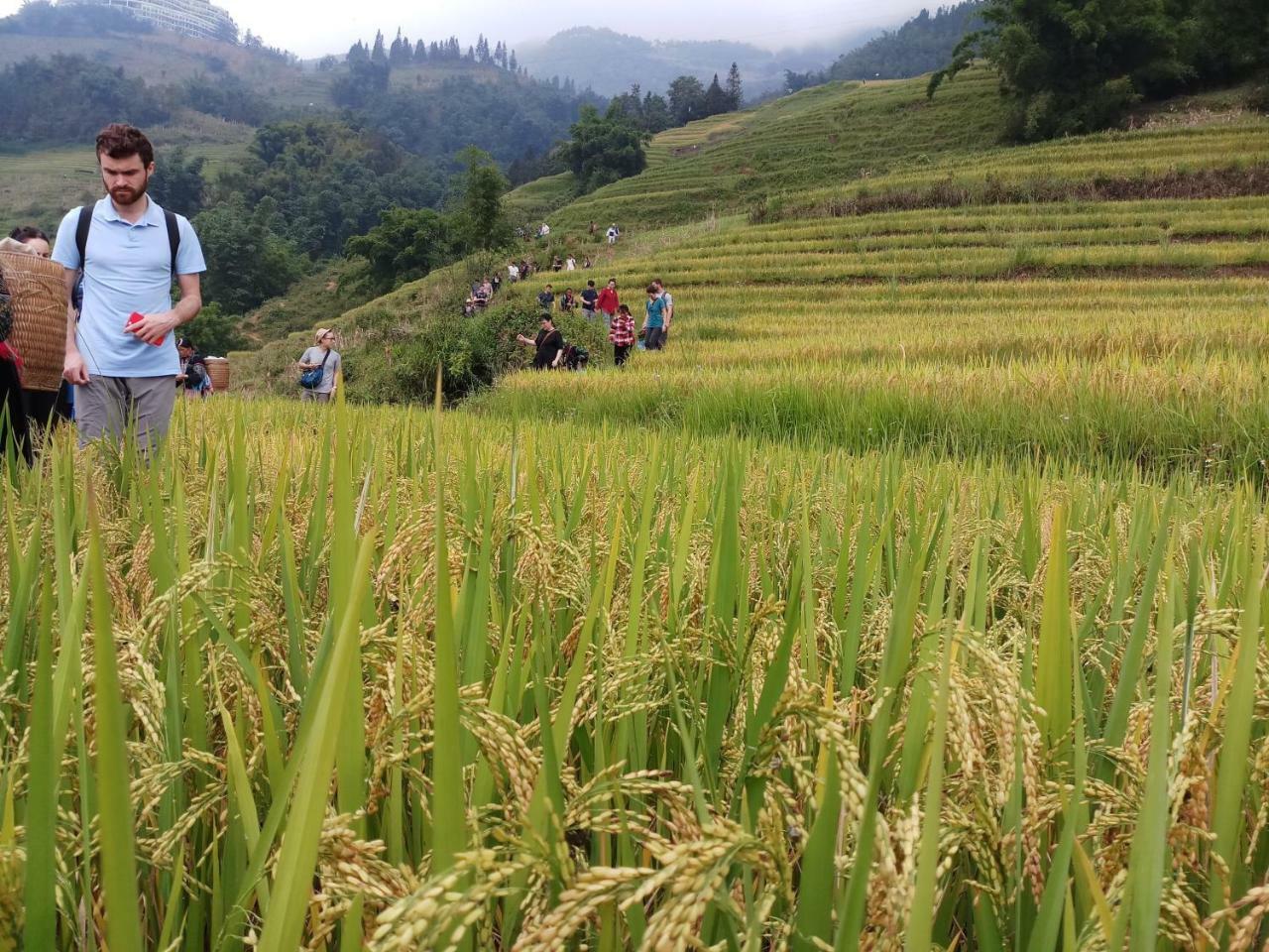 Tuongmai Home & Trekking Tour ซาปา ภายนอก รูปภาพ