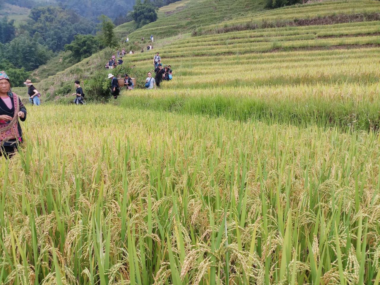 Tuongmai Home & Trekking Tour ซาปา ภายนอก รูปภาพ